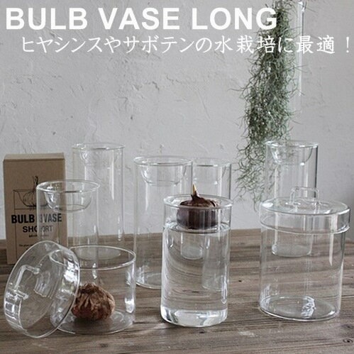 BULB VASE LONG (バルブベースロング)【スパイス SPICE】kegy4070 グリーン ガーデン フラワーベース 球根水栽培 ガラス サボテン 水耕栽培 水栽培 多肉植物(z)のサムネイル