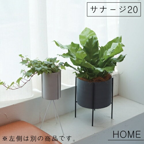 HOME サナージ20【バージ FARM】植木鉢 鉢 サボテン 観葉植物 ナチュラル 栽培 日本製 グリーン スタンド付き 植物 底穴なし植木鉢 モダン 飾り 置き物 ガーデン[20K+スタンドKは欠品中・次回入荷未定]