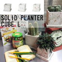【メーカー取り寄せ】SOLID PLANTER CUBE L 【ダルトン DULTON】ソリッド プランター キューブ L コンクリート ガーデニング グリーン 植物 庭 ガーデン(z)(PL)