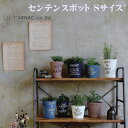 Sentence pot S センテンスポット S 花瓶 フラワーベース 鉢 ポット 植木鉢 プランター カラフル お洒落 シンプル 穴あり 【カルナック CARNAC】