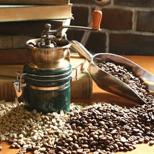 コーヒーミル テラ COFFEE MILL 