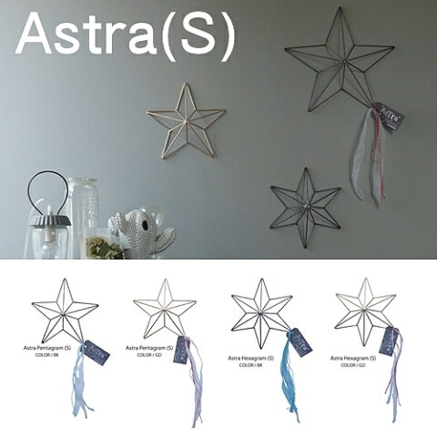 アストラ　インテリアオブジェ ASTRA series Astra PentagramHexagram(S) STAR 星型 スター オブジェ ワイヤー 【WEST VILLAGE TOKYO ウエストビレッジトーキョー 】【西海岸 インダストリアル】(z)