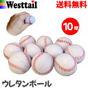 野球ボール 柔らかい ポリウレタンボール 白色 69mm 10球 軟式J球サイズ ボール遊び キャッチボール バッティング 練習用