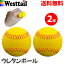 野球ボール 柔らかい ポリウレタンボール 黄色 69mm 2球 軟式J球サイズ ボール遊び キャッチボール