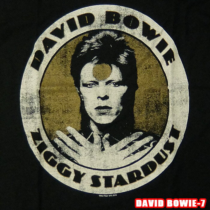 ROCK TEEDAVID BOWIE-7 デヴィッドボウイ ZIGGY STARDUST ロックTシャツ バンドTシャツ ROCK T バンT英国/米国のオフィシャルライセンス