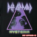 ROCK TEE DEF LEPPARD-12 LINEUP ロックTシャツ/バンドTシャツ 英国/米国のオフィシャルライセンス