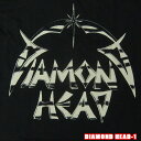 ROCK TEE DIAMOND HEAD-1[_CAhwbh] DH LOGO bNTVc ohTVc p/č̃ItBVCZX ysmtb-kdzyRCPz