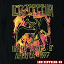 楽天WEST WAVEROCK TEE LED ZEPPELIN-13[レッドツェッペリン] Black Flames ロックTシャツ バンドTシャツ 【RCP】英国/米国のオフィシャルライセンス