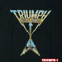 ROCK TEE TRIUMPH-1 トライアンフ ALLIED FORCES ロックTシャツ バンドTシャツ ROCK T バンT【smtb-kd】【RCP】英国/米国のオフィシャルライセンス