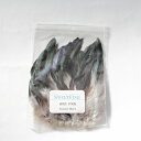 【日本正規品 13時まで当日出荷】スペイコック SWEETFISH(スウィートフィッシュ)