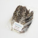 【日本正規品 13時まで当日出荷】スペイコックNA SWEETFISH(スウィートフィッシュ)