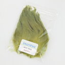 【日本正規品 13時まで当日出荷】SPEY COCK SWEETFISH(スウィートフィッシュ)スペイコック