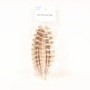 【日本正規品 13時まで当日出荷】Hen Pheasant Quills SWEETFISH(スウィートフィッシュ)ヘンフェザントクイル