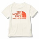 【日本正規品 13時まで当日出荷】S/S TNF Bug Free Graphic Tee　THE NORTH FACE（ザ・ノースフェイス）ショートスリーブTNFバグフリーグラフィックロゴティー