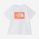 【日本正規品 13時まで当日出荷】S／S TNF Bug Free Graphic Tee　THE NORTH FACE（ザ・ノースフェイス）ショートスリーブTNFバグフリーグラフィックティー（キッズ）