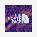 【日本正規品 13時まで当日出荷】TNF Print Sticker THE NORTH FACE(ザ・ノースフェイス)TNFプリントステッカー