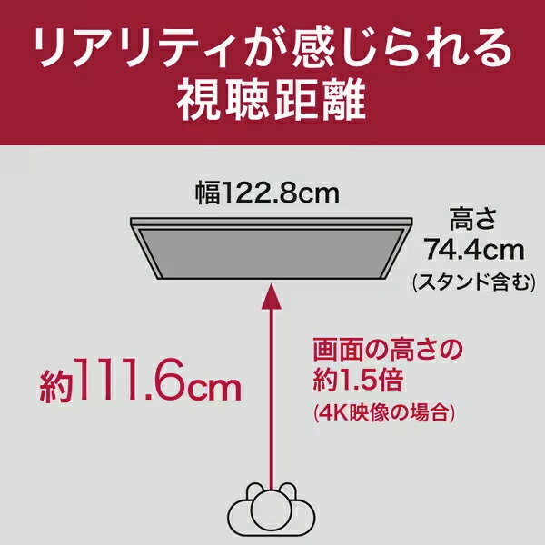 LG 55V型 有機EL液晶テレビ OLED55B2PJA 55V型 4Kチューナー内蔵 YouTube対応 Blue...