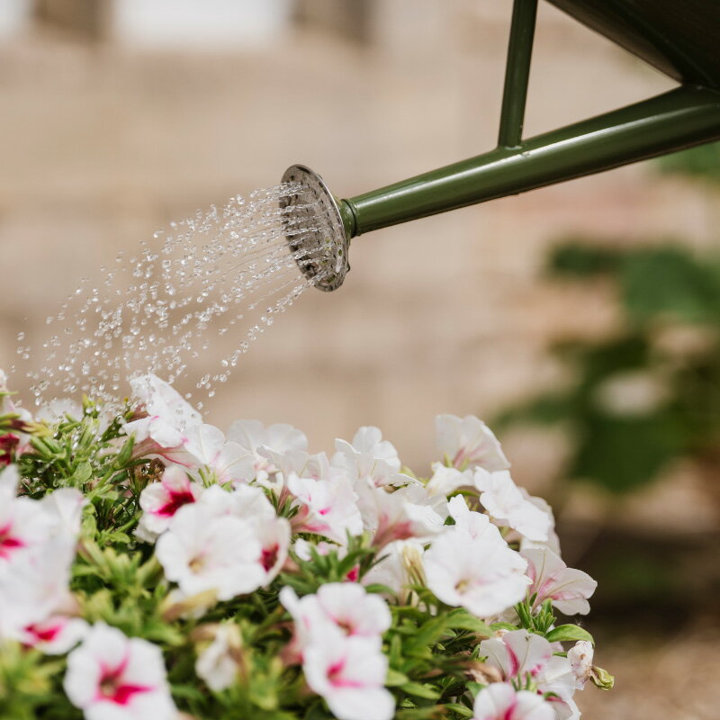 �ڥ����ȥ�å���50��OFF��K&S �᥿�른�祦�� 4.5L Metal Watering Can ����ȥ��ȡ� �����ꥹ�֥��� ��°�� ������ �������ʥ��祦��