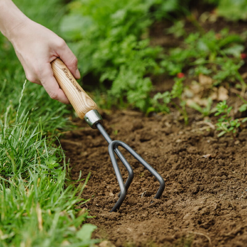 Kent & Stowe ����ȥ��ȡ��������ܥ�ߥ˷��ꡡ�����ꥹ�֥��ɡ�10ǯ�ݾ��ա������ǥ˥󥰥ġ��롡�����ϥ�ɥ롡���̥����ܥ󥹥���������Hand 3 Prong Cultivator, Carbon Steel