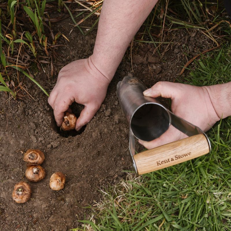 Kent&Stowe Large Hand Bulb Planter ケントストー　球根植え用ツール L　種苗植え　土壌採取　イギリスブランド　15年保証付　ガーデニングツール　木製ハンドル　軽量ステンレススチール製 2