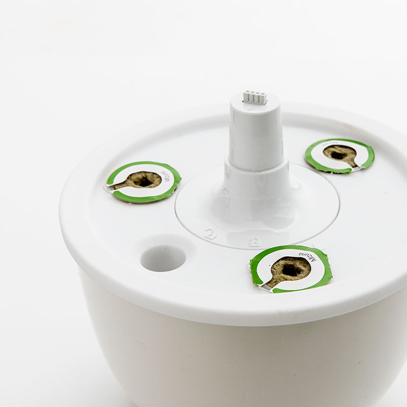 �ڥ����ȥ�å���80��OFF��Plantui3e���ץ��ȥ���3e���̲��ե�����ɤο�̺��ݥ��ơ�����󡡤�����졡���ޡ��ȥۡ��ࡡ��ڤ˥ϡ��ֺ��ݡ��������