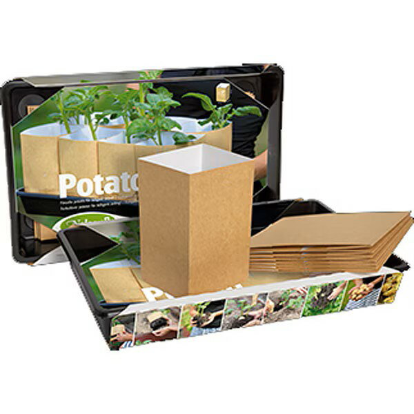 【アウトレット50％OFF】環境先進国スウェーデンからエコな紙製ポット1.1L（8個入）＆トレーセット。ポテトの種イモ発芽などに便利