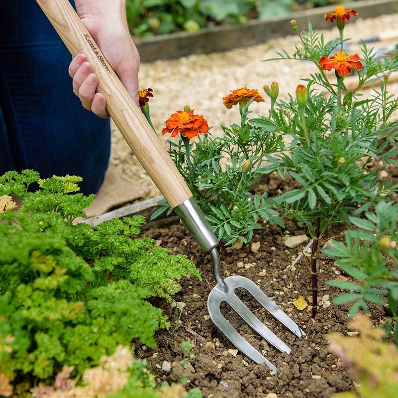 Wexthuset JapanのKent＆Stowe Border Hand Fork ケントストー　長いハンドフォーク　イギリスブランド　15年保証付　ガーデニングツール　木製ハンドル　高品質ステンレススチール製｜アングル2