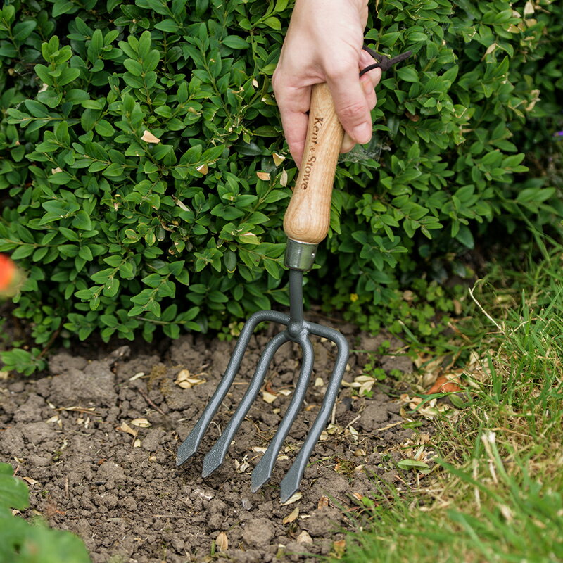 Kent&Stowe ����ȥ��ȡ����ϥ�ɥե����� �����ꥹ�֥��ɡ�10ǯ�ݾ��ա������ǥ˥󥰥ġ��롡�����ϥ�ɥ롡�����ܥ󥹥���������Round Tine Hand Fork Carbon Steel