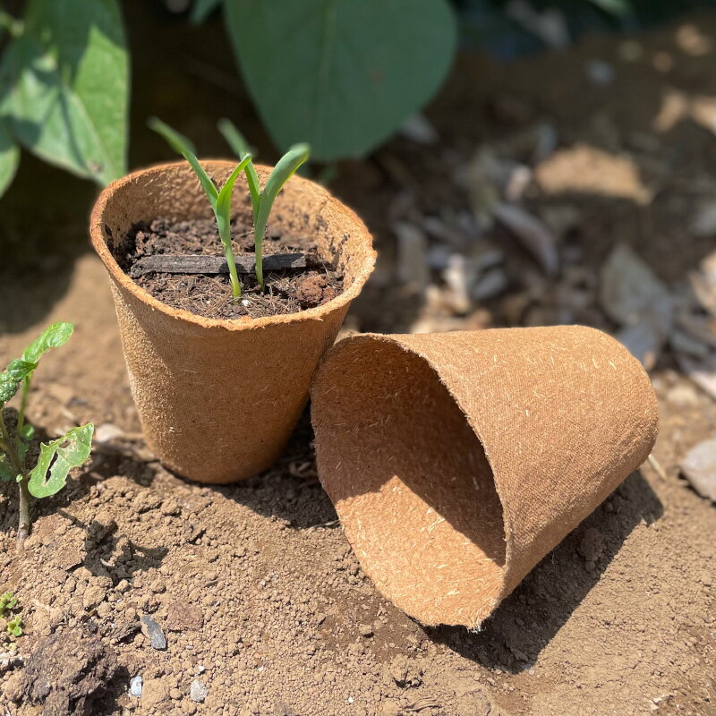 そのまま植えられるファイバーポット　丸型　6cm　24個セット　生分解性苗鉢　Fibr...