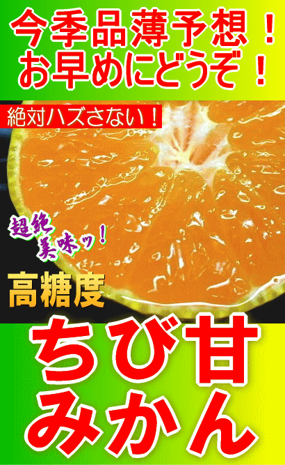 箱の中ぜーんぶ激甘！高糖度◎チビ甘みかん5kg/長崎産 ★最高糖度選別品！入荷状況によります、指定不可です。幅広くお待ちいただければありがたく存じます。