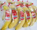 ★甘熟王バナナ10本/1本ずつ袋入り/フィリピン産/入荷品薄の際には、南米産（エクアドル産など）高地栽培バナナの1本…