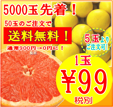 甘くてウマシ！1玉99円！直輸入スタールビーグレープフルーツ5玉(S)メキシコ産のサムネイル
