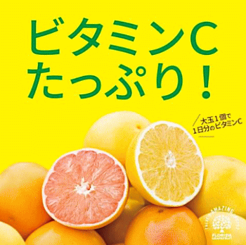 P10�ܡ�ľ͢���ǿ������ߤ��ߤ��������˾塪�ե�������������졼�ץե롼�ĥ֥��36-48�̥ե�Ȣ�ʥޡ�����ۥ磻�ȡ��ܾ�ե�������Ϻ���ޤܤ����������ľ��������ȥĤ���̣���ɤ������塼������������̳�ƻ�彣������330�߲���2000�߲û�����