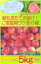 2箱で1000円OFF!★朝もぎ産地直送!薫ちゃんファミリーの桃【規格外品】約5kg/12~25玉7月末~8月末の期間中、収穫次第、順次、産地直送いたします!幅をもってお考えください。配送指定不可のためNG日お知らせください。※九州北海道別途送料あり