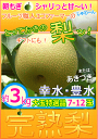 早期ご予約!2箱で1000円OFF!エコファーマー薫ちゃんファミリーの朝もぎたて!特選大玉【完熟梨】約3kg/7〜12玉(北海道九州送料別途加算あり)8月下旬頃...