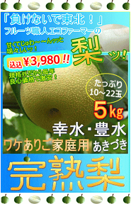 エコファーマー認定！薫ちゃんの完熟梨ちょっぴりお顔ブーの【規格外品】約5kgたっぷり10-22玉も入っちゃいます！シャリ感最高ッ！（北海道九州送料別途加算あり）