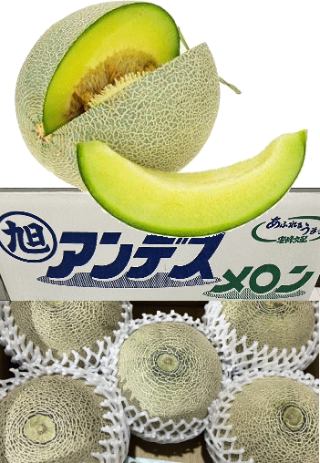 アンデスメロン秀品3玉／特選大玉2L（約3kg）茨城産（ほか国産）入荷状況によりほ...