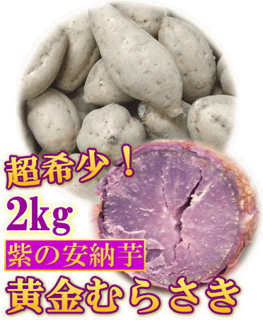 【入荷待ちです】そのまんまで和菓子！種子島産【安納芋〜黄金むらさき】約2kg（小）超レア！10P01Mar15