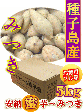 安納蜜芋◎最高ブランド！【安納黄金〜みつき】約5kg（小〜大）フル箱/種子島産
