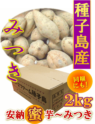 安納蜜芋◎特選ブランド！【安納黄金〜みつき】約1.9kg（小〜中）/種子島産