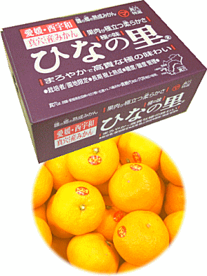 愛媛の逸品！真穴みかん【雛の里】約5kg/S〜Lサイズ入荷次第発送予定。※ご指定不可となります。ご了承..