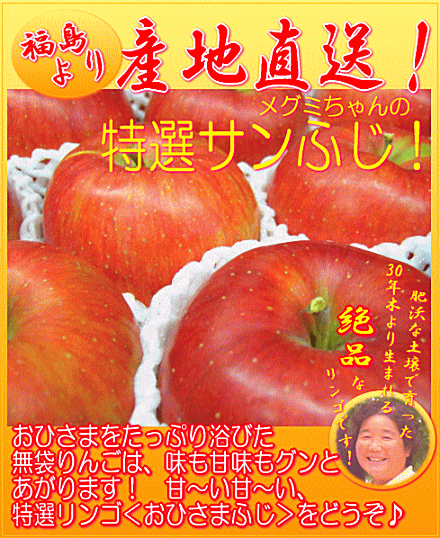 完熟りんご【サンふじ特選品7-9玉】約3kg/福島産のサムネイル
