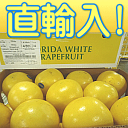 通販で買えるグレープフルーツのお取り寄せ人気おすすめランキング10選