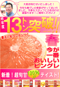 直輸入で港より直送だから新鮮！★春完熟ピンクグレープフルーツボリューム大玉8玉/フロリダ産クエン酸・葉酸・ビタミンCたっぷり健康キープ！今季キズ・若干のヤケございます。ご理解願います。グレフルグッズ3点も全員プレゼント！