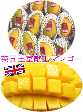 マンゴー大好きな方必食！超大玉パキスタン産マンゴー10~16玉詰め（約5kg）フル箱荷姿お徳用です！のサムネイル