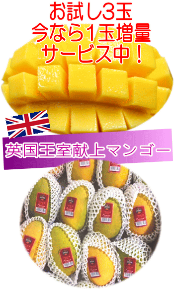 お試しください♪パキマン！高糖度！パキスタン産マンゴー3玉＋今ならお試し1玉増量中！（約1.2kg）簡易包装のサムネイル