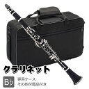 クラリネット 10リード付 練習 お手入れセット ケース付き 艶消し本体 17キー B♭ ソプラノ ABS樹脂製 リード 初心者入門 吹奏楽 小学生 高校生 大...