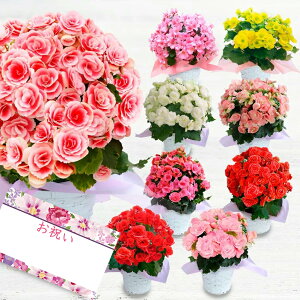 ハッピーガーデン