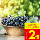 果樹苗 カシス ブラックカーラント 選べるサイズ【お届け中】Ribes nigrum クロスグリ 黒房すぐりブラックカラント 黒酸塊 Blackcurrant 果樹 耐寒性落葉低木 身のなる樹 果物 フルーツ