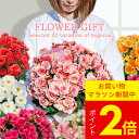 サマーギフト 花 ギフト 鉢花 プレゼント 大輪 薔薇咲き リーガースベゴニア 5号 選べる品種 籠付きラッピング 鉢植え【即納 お届け中 送料無料 同梱不可】...